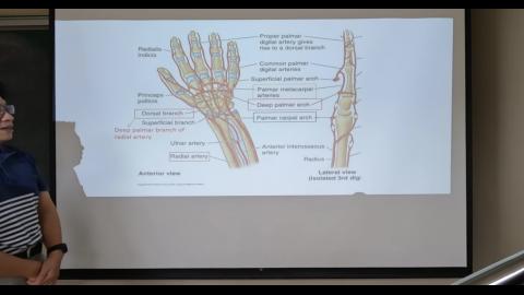 Forearm & Hand Review.mp4