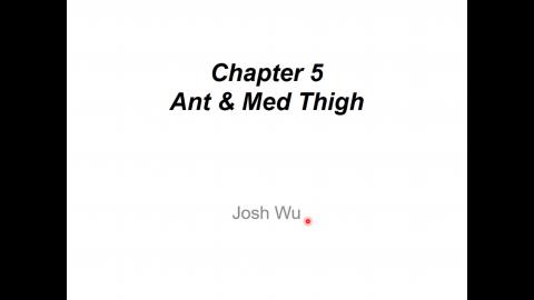 Ant & Med Thigh
