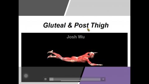 Gluteal, Post Thigh & Popliteal