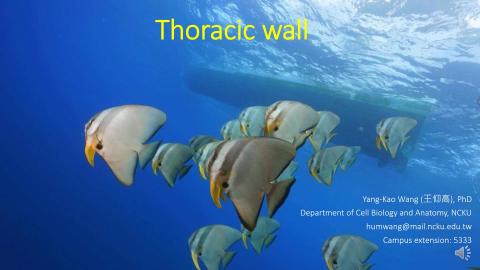 1. Thoracic wall.mp4