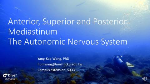 4. Anterior, Superior, posterior Mediastinum and ANS.mp4