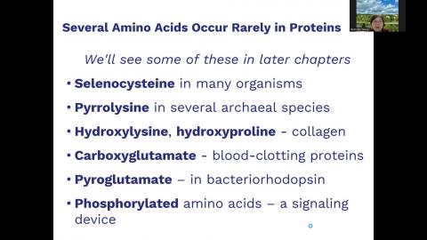 Chapter 4 Amino Acid and Peptides Part 2.mp4