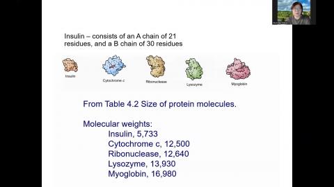 Chapter 5-Proteins their primary structure and biological functions Part 1.mp4