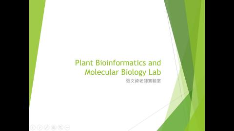 張文綺老師實驗室介紹.mp4