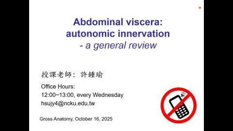 大體解剖學-Abdominal viscera_課前預習(II): Autonomic innervation 