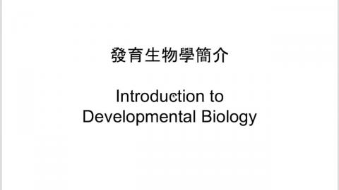 20251107_發育生物學簡介.mp4