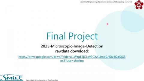 【114-1 機器學習】FinalProject說明