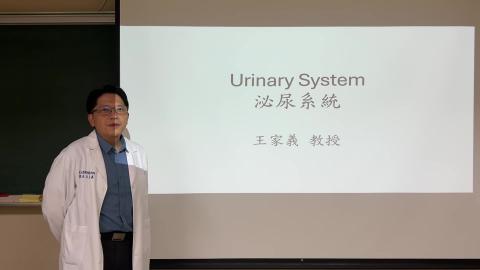 胚胎學_Urinary system.mov
