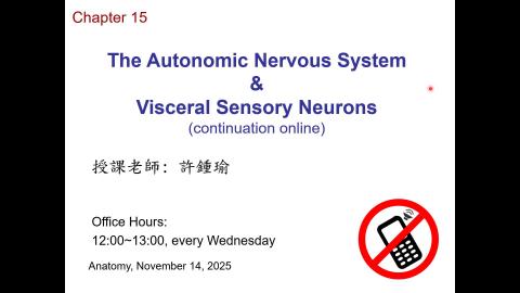 2025/11/14 解剖學 Autonomic nervous system