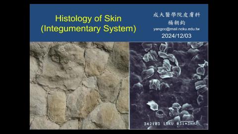 2024 Integumentary system-1.mp4