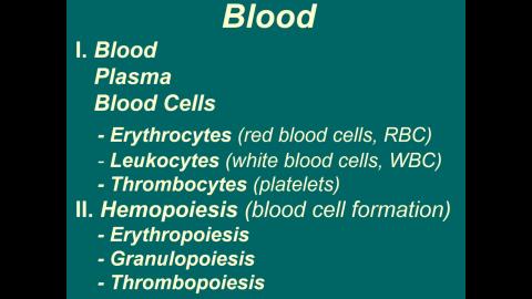 2021 Blood 完整版-1.mp4