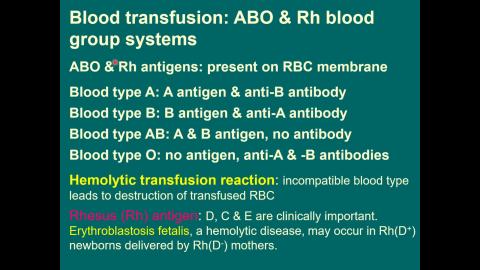 2021 Blood 完整版-2.mp4