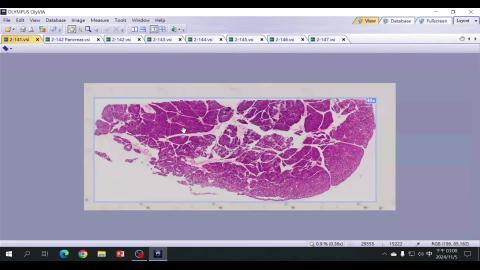 2024 Digestive system III Demo-2.mp4