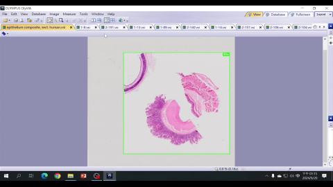 2024 Epithelial tissue Demo.mp4