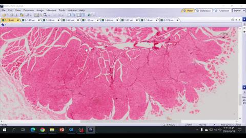 2024 Muscle Demo.mp4