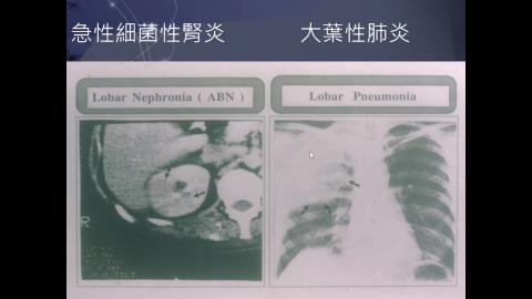 2023 Urinary system-2.mp4