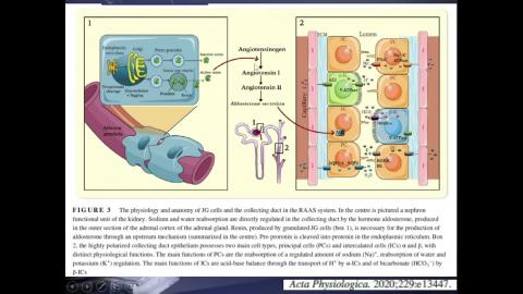2023 Urinary system-4.mp4