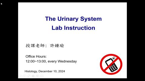 2024 Urinary system Demo-1.mp4
