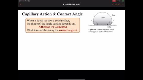 Week2-第二堂課.MP4