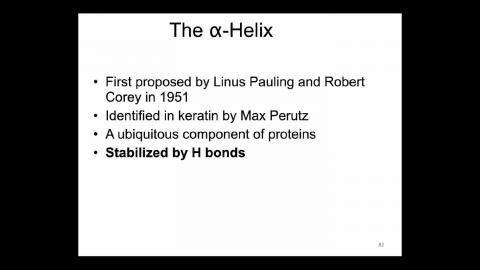 0318-1-Biochem-beta_sheet.mp4