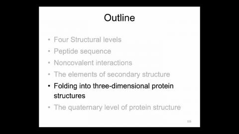 0318-2-Biochem-TertiaryStruct-1.mp4