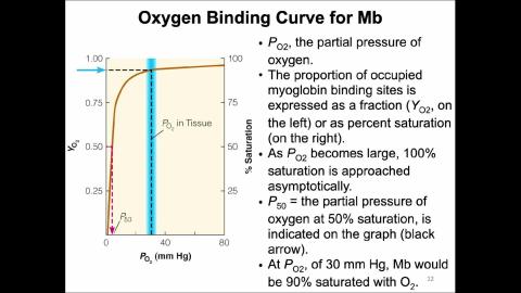 0325-4-Biochem-Hb.mp4