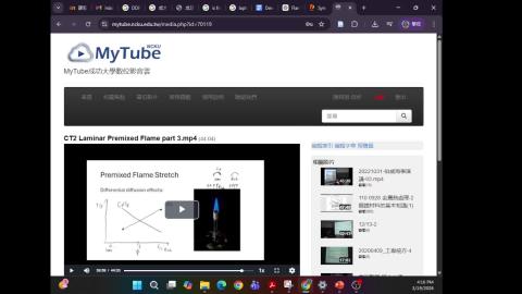 ct2 Laminar Premixed Flames 4.mp4