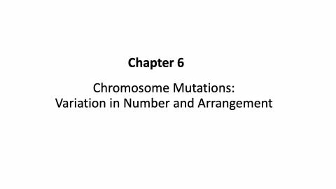 2026_6_chromosome mutations.mp4