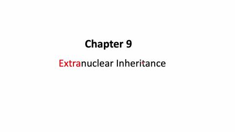 2026_Chapter 9_extracellular inheritance.mp4