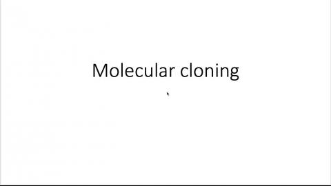 2026_molecular cloning.mov