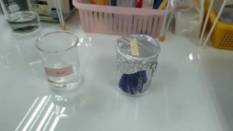 2026_genomic dna extract.mov