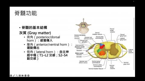WBC-宋碧姍-2.mov