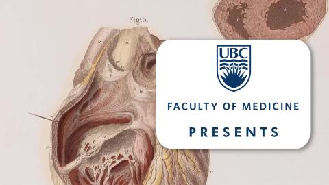 A Guide to Heart Dissection and Anatomy.mp4