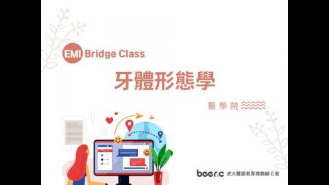 Bridge Class 線上銜接課程 牙體形態學