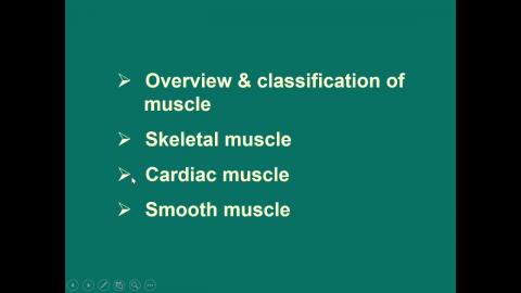 Histology_Muscle_Lec_2025.mp4