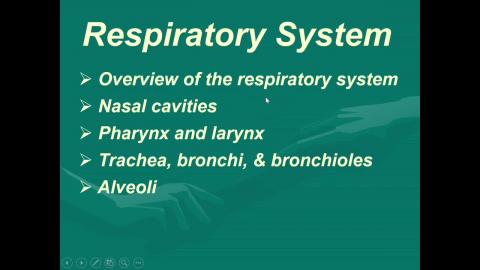 Histology_Respiratory system_Lec_2025.mp4