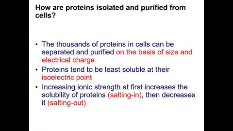 Chapter 5-Proteins their primary structure and biological functions Part II 85 min.mp4