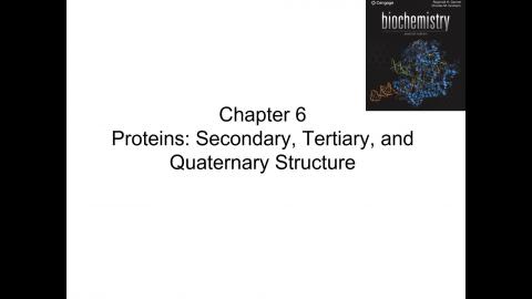 Chapter 6 secondary tertiary quaternary structure.mp4