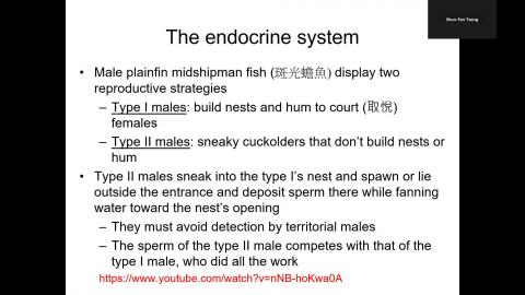 1006Endocrine System.mp4