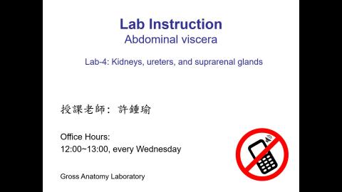 Lab instruction: Lab4