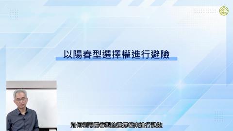 6-15_以陽春型選擇權進行避險.mp4