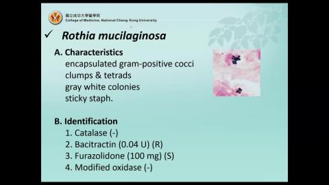 CM20200319 part 2.mp4