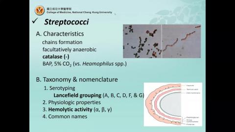 CM20200319 part 3.mp4