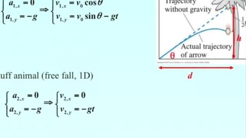 Analysis: the stuff animal and a bullet