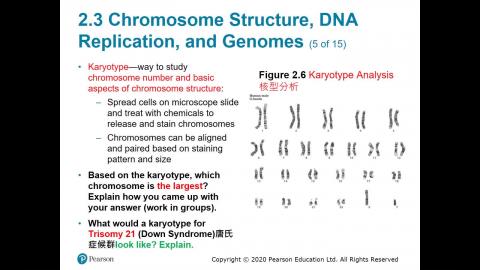 108-2 生物科技概論 03.30.mp4