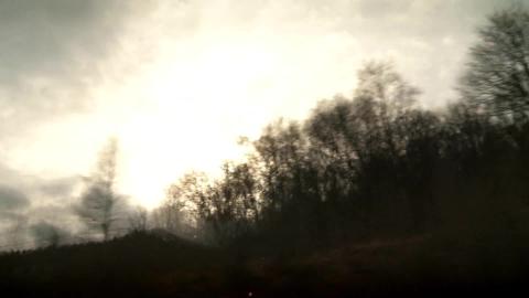 PTS 魚肉的秘密.mp4