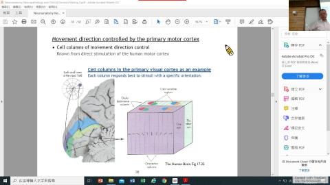 3/31神經上課影片