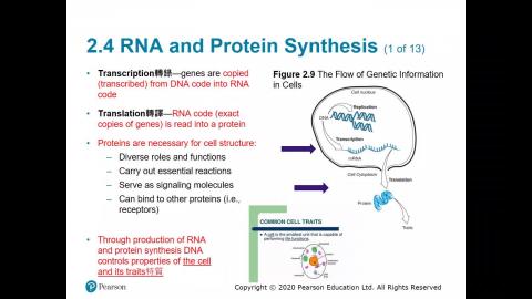 108-2 生物科技概論 04.01.mp4