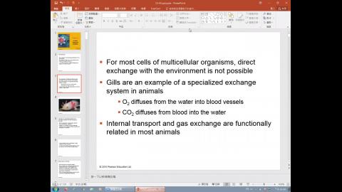 20200408_普通生物學_animal transport system.mp4