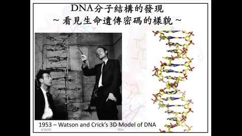 Nobel_DNA Structure_2.mov